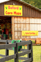 NCR: Buford Corn Maze